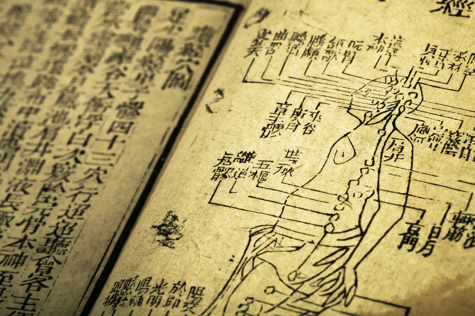 Altes chinesisches Buch zur Kräutermedizin